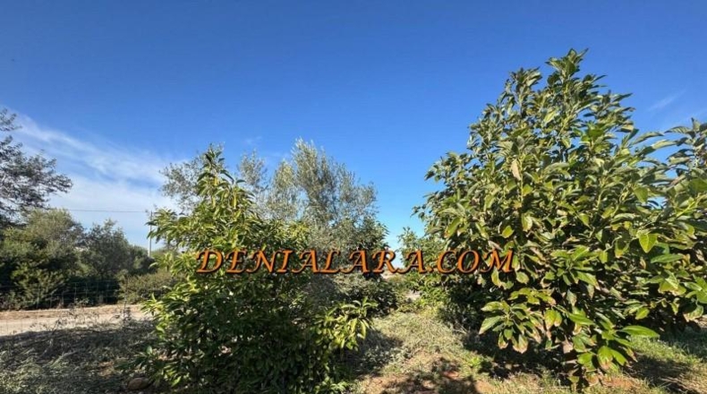 Alicante - Пего - 2125m2