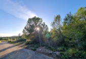 Terreny no urbanitzable en venda a la España, l'Ametlla de Mar, ref.: TR352221 foto