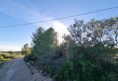 Terreny no urbanitzable en venda a la España, l'Ametlla de Mar, ref.: TR352221 foto