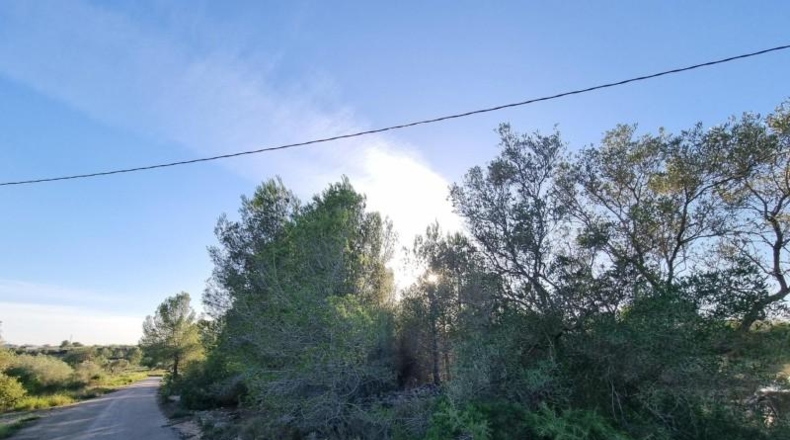 Tarragona - l'Ametlla de Mar - 28454m2