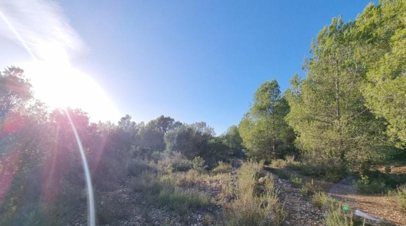 Tarragona - l'Ametlla de Mar - 28454m2