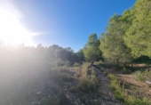 Terreny no urbanitzable en venda a la España, l'Ametlla de Mar, ref.: TR352221 foto