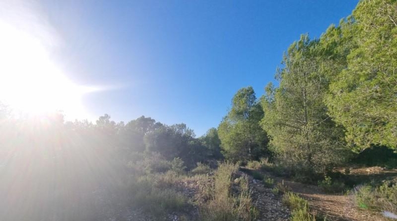 Tarragona - l'Ametlla de Mar - 28454m2