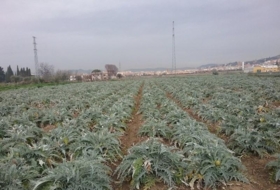 Foto 9