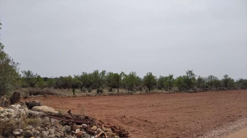 Castellón - Benlloc - 20000m2