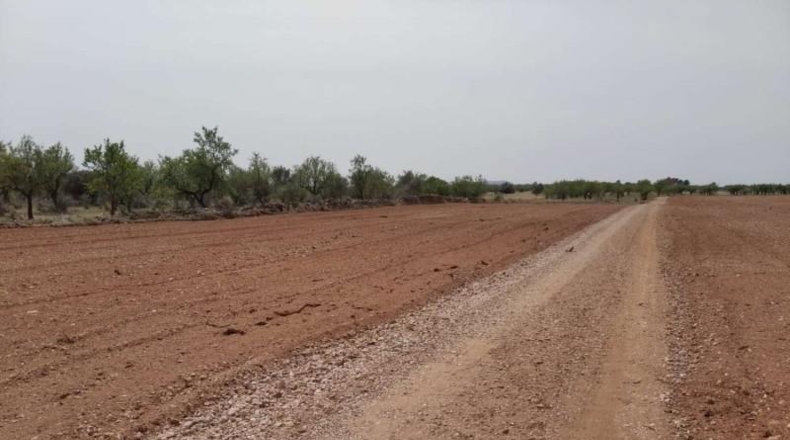 Castellón - Benlloc - 20000m2