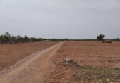 Parcela urbanizable en venta en la España, Benlloc, ref: TR309888 foto