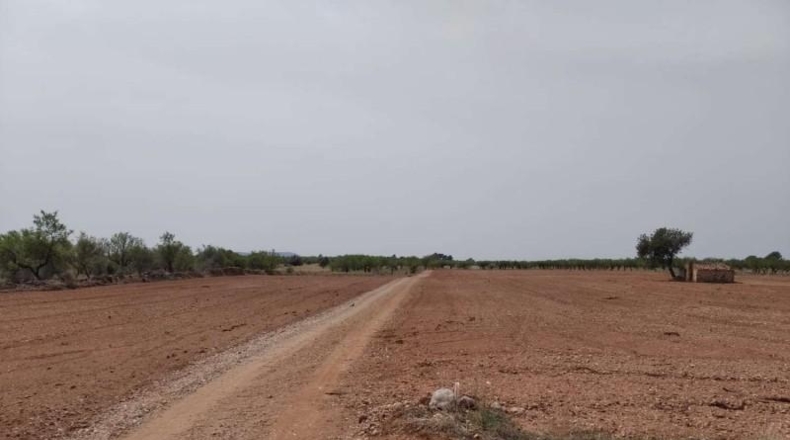 Castellón - Benlloc - 20000m2
