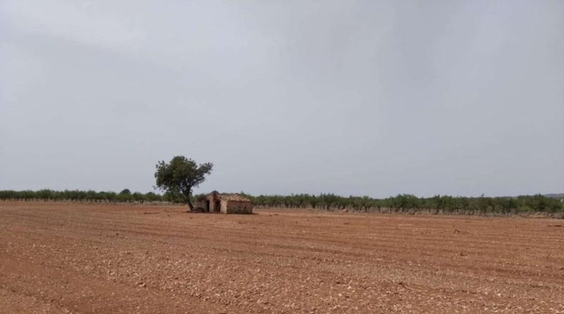 Castellón - Benlloc - 20000m2