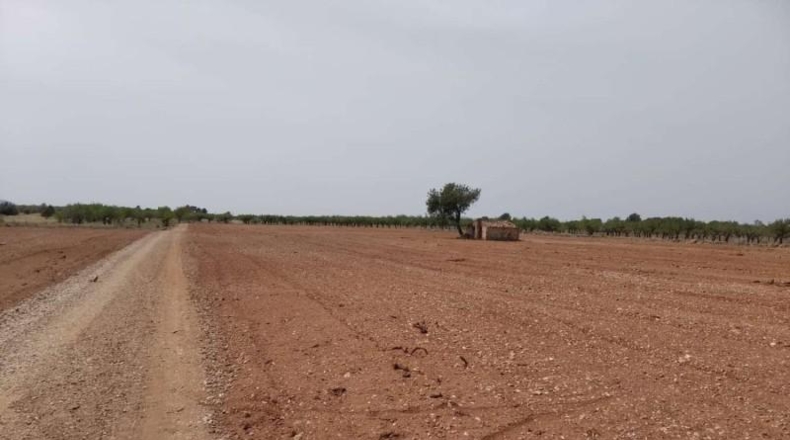 Castellón - Benlloc - 20000m2