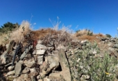 Sòl urbà en venda a la España, Arapiles, ref.: TR311481 foto