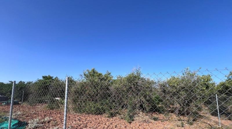 Sevilla - Guillena - 900m2