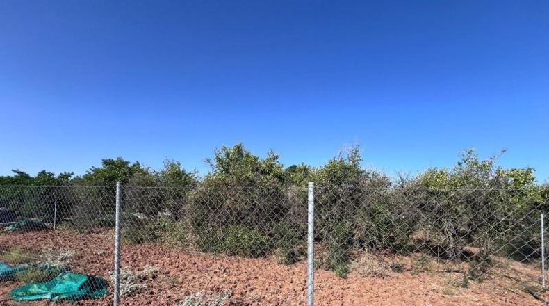 Sevilla - Guillena - 900m2