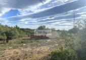 Terreny no urbanitzable en venda a la España, l'Ampolla, ref.: TR172817 foto