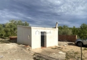 Terreny no urbanitzable en venda a la España, l'Ampolla, ref.: TR172817 foto