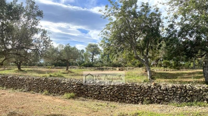 Tarragona - l'Ampolla - 22858m2
