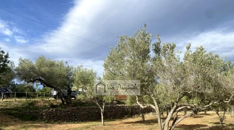 Tarragona - l'Ampolla - 22858m2