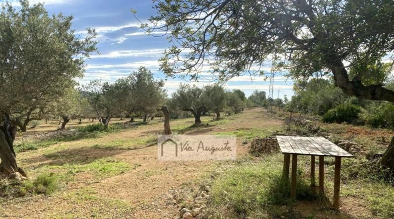 Tarragona - l'Ampolla - 22858m2