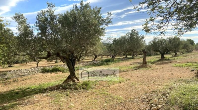 Tarragona - l'Ampolla - 22858m2