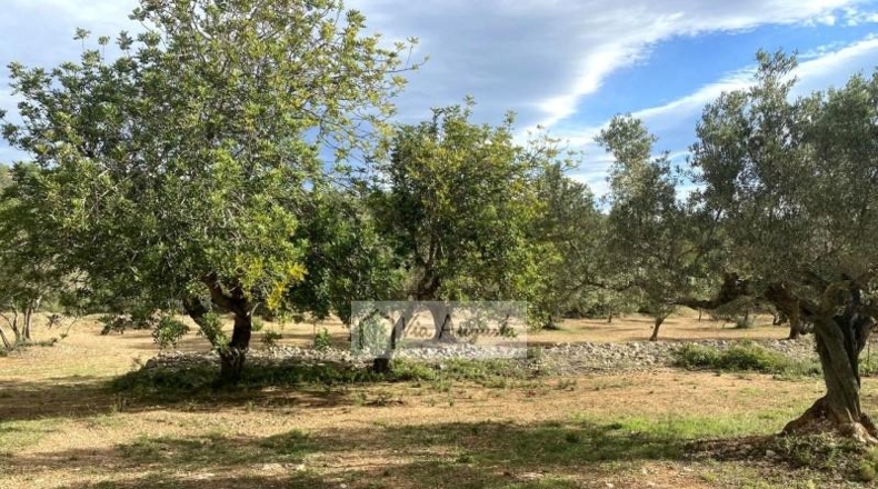 Tarragona - l'Ampolla - 22858m2