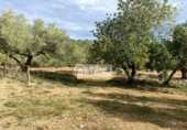 Terreny no urbanitzable en venda a la España, l'Ampolla, ref.: TR172817 foto