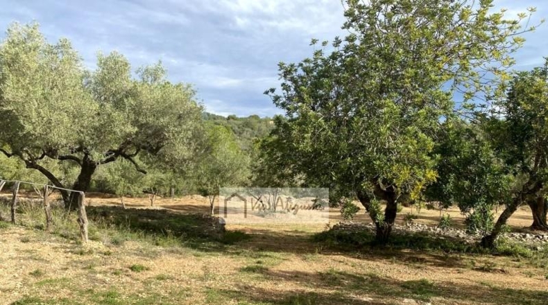 Tarragona - l'Ampolla - 22858m2