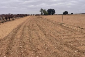 Mahora 23681&nbsp;m² 