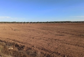 Mahora 23681&nbsp;m² 