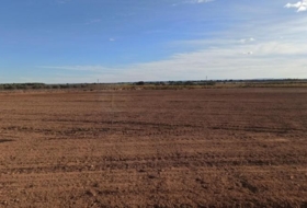 Mahora 23681&nbsp;m² 