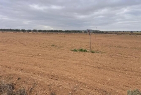 Mahora 23681&nbsp;m² 