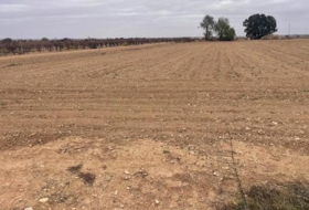 Mahora 23681&nbsp;m² 