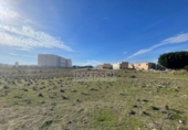 Land suitable for development for sale on España, El Ejido, ref: TR119907 photo