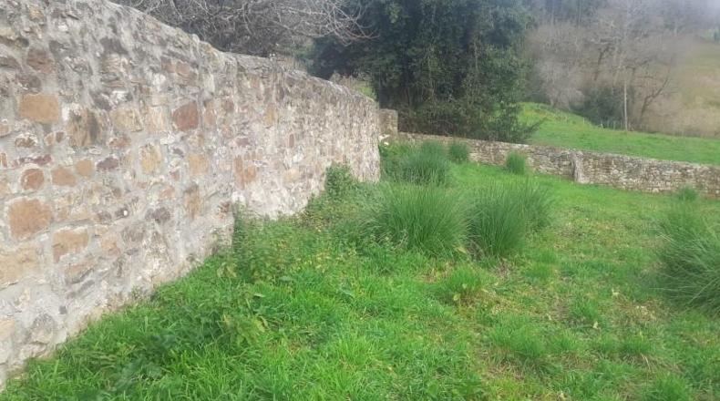 Cantàbria - Ampuero - 640m2