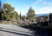 Sòl urbà en venda a la España, el Vilar, ref.: TR403546 foto