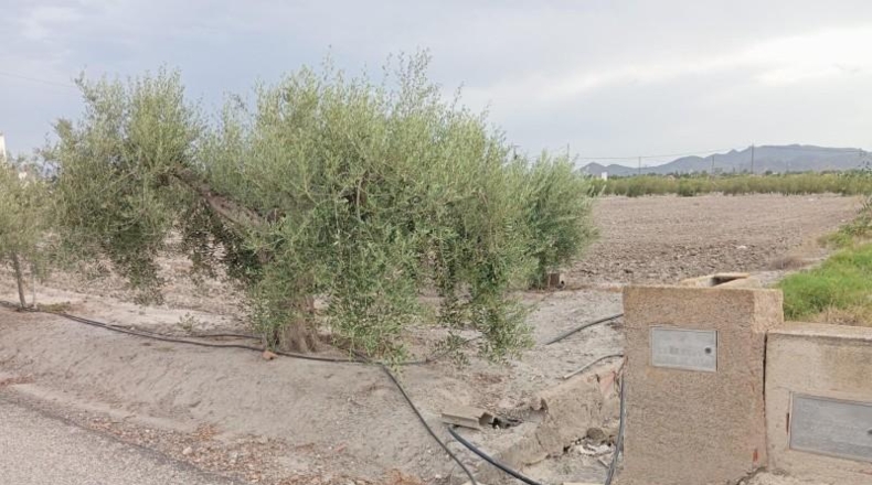 Múrcia - Puerto Lumbreras - 5200m2