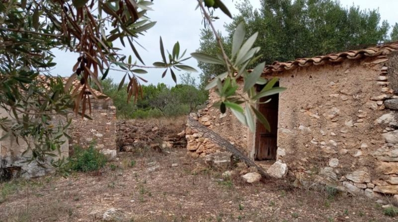 Tarragona - l'Ametlla de Mar - 17000m2