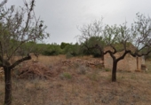 Casa de campo con terreno en venta en la España, l'Ametlla de Mar, ref: TR303340 foto