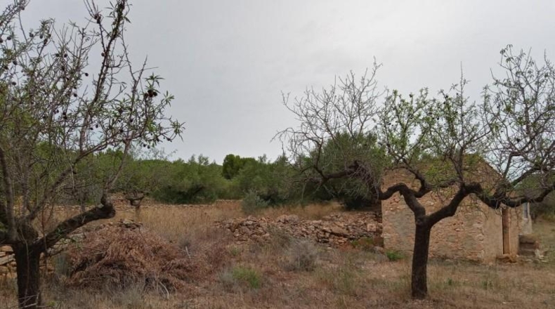 Tarragona - l'Ametlla de Mar - 17000m2