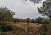 Casa de campo con terreno en venta en la España, l'Ametlla de Mar, ref: TR303340 foto