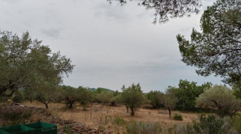 Tarragona - l'Ametlla de Mar - 17000m2