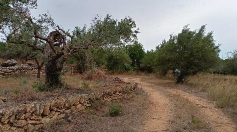 Tarragona - l'Ametlla de Mar - 17000m2