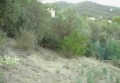 Terreny no urbanitzable en venda a la España, Santa Cristina d'Aro, ref.: TR114095 foto