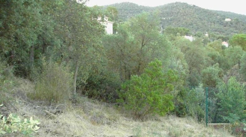 Gerona - Santa Cristina d'Aro - 941m2
