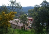 Terreny no urbanitzable en venda a la España, Santa Cristina d'Aro, ref.: TR114095 foto