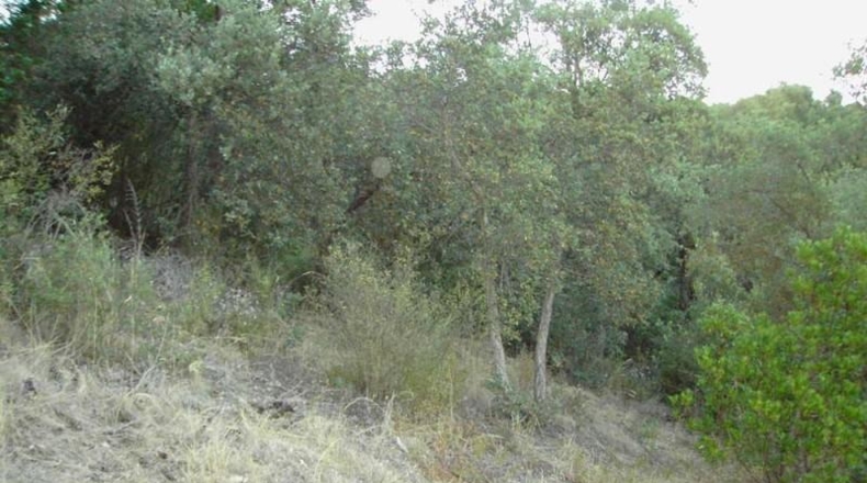 Gerona - Santa Cristina d'Aro - 941m2