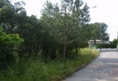 Terreny no urbanitzable en venda a la España, Santa Cristina d'Aro, ref.: TR114095 foto