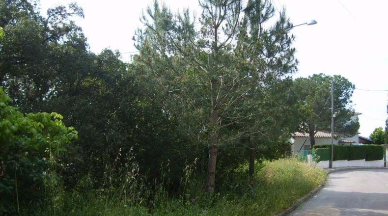 Gerona - Santa Cristina d'Aro - 941m2