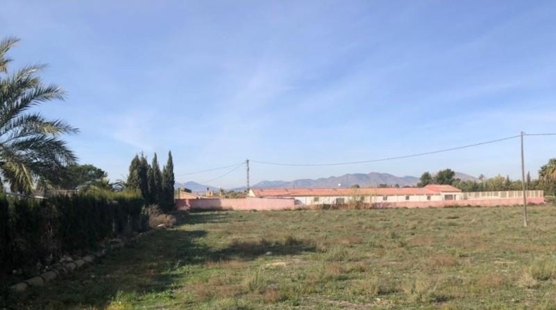 Alicante - Novelda - 10500m2