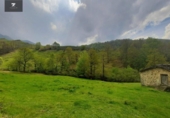 Finca rústica en venda a la España, Selaya, ref.: TR291589 foto