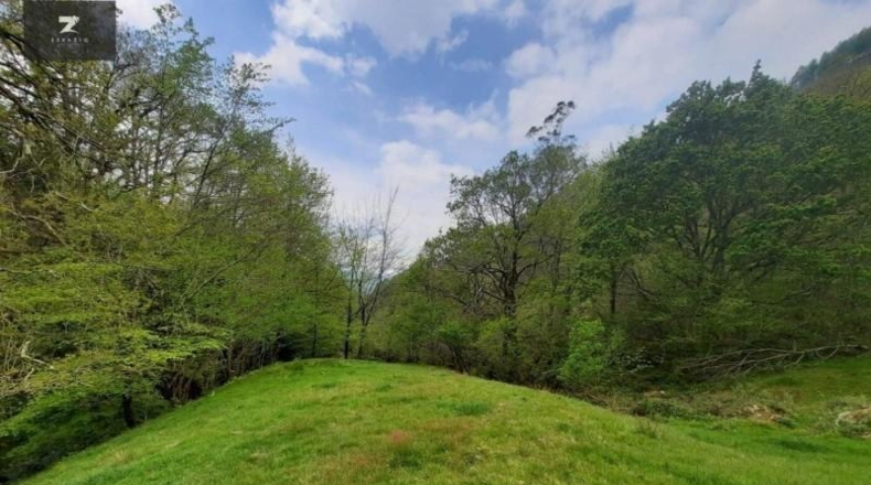 Cantabria - Selaya - 7675m2